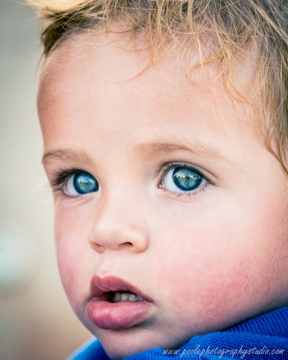 0001-4-glendale_photographer__family__portrait__blue_eyes
